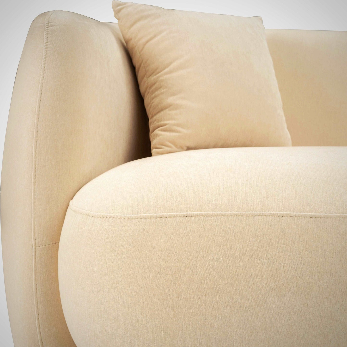 Curvny Sofa
