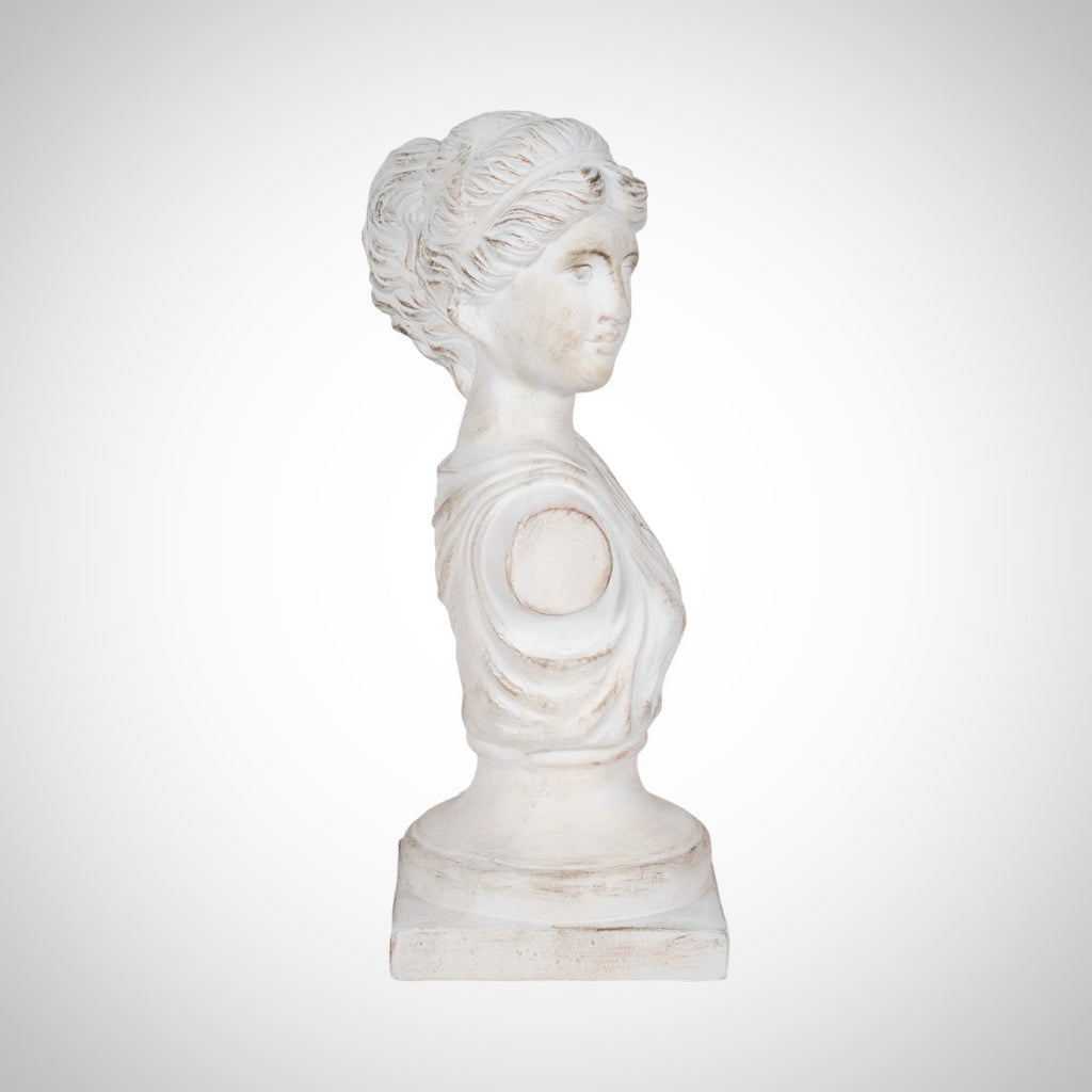 20" Venus Bust Distressed Resin, White