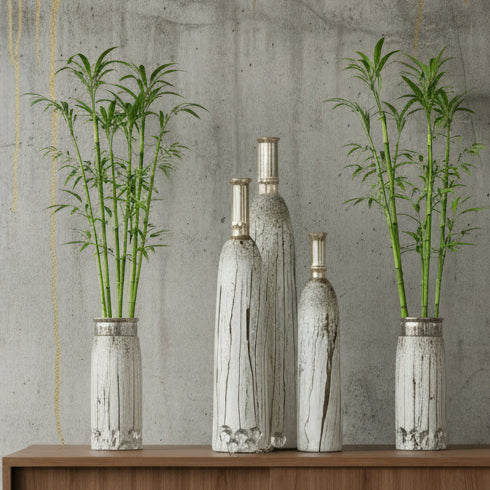 Glass Vase Bottles Set of Three
