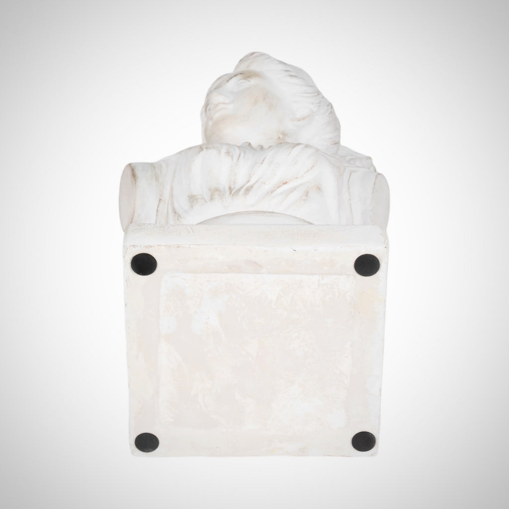 20" Venus Bust Distressed Resin, White